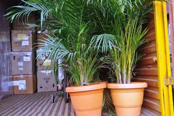 Secure Relocation Packers and Movers
